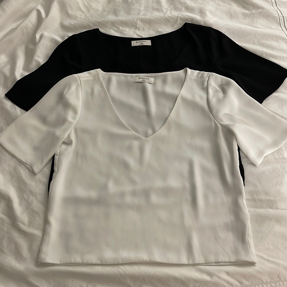 Set of 2 Aritzia basic v neck crop tops in polyester